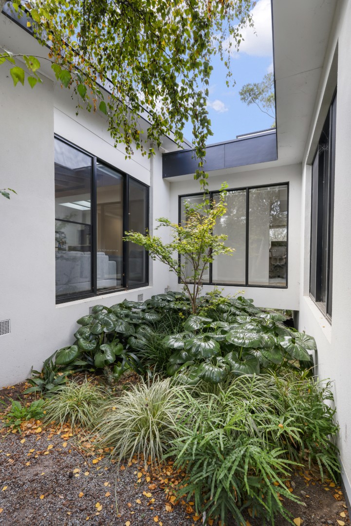 Extension & Renovation North Ringwood